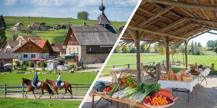 afaceri in mediul rural