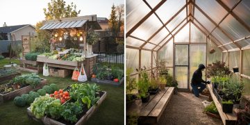 idei afaceri gradinarit